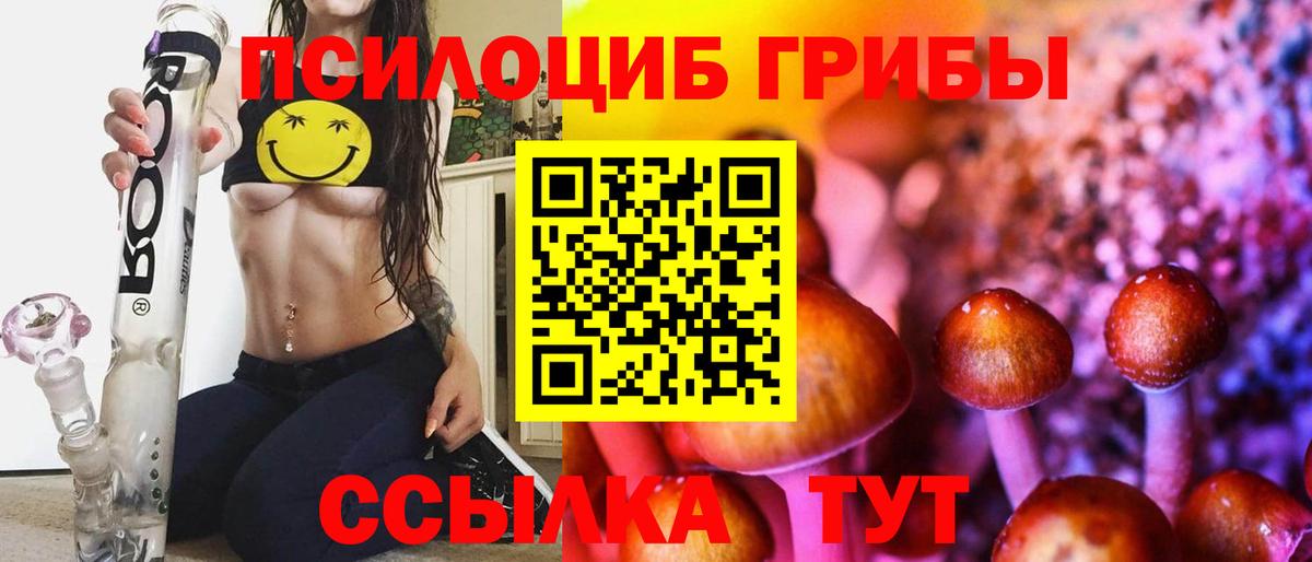 дарнет шоп  Вход с VPN  Балабаново  Псилоцибиновые грибы Cubensis 